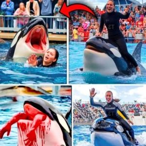 🇺🇲🇺🇲Coach Orca is Destroy by this thing while … see more